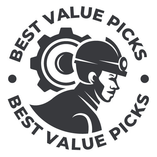 bestvaluepicks-logo-withe background
