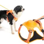 2 in 1 Dog Harness with Retractable Leash