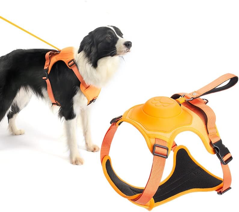 2 in 1 Dog Harness with Retractable Leash