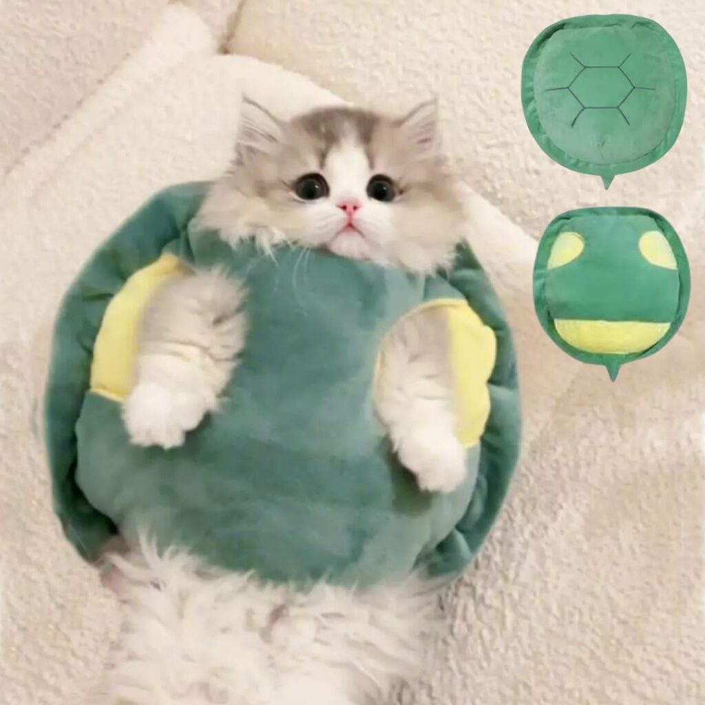 Cute Turtle Shell Costumes for Cat