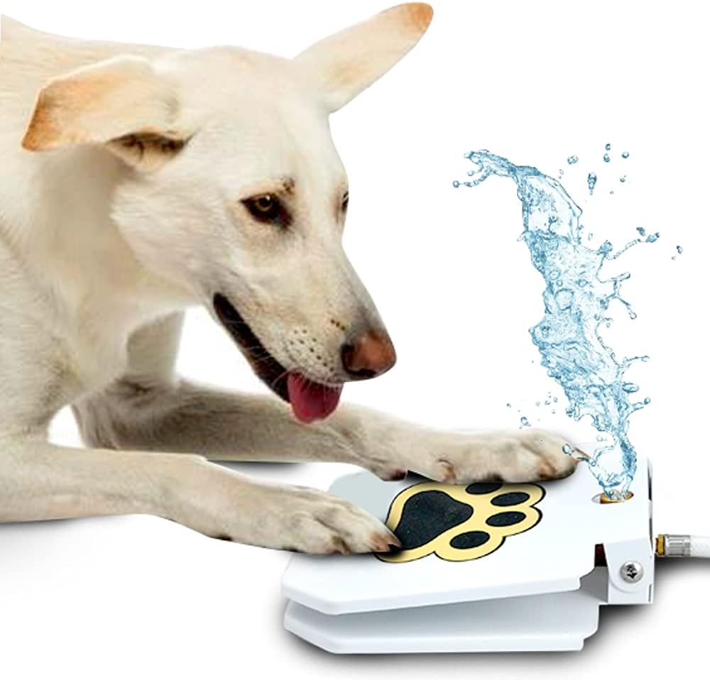 Dog Fountain Step On Drinking Water
