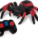 RC Spider