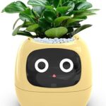 Smart Flowerpot