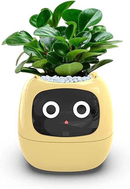 Smart Flowerpot