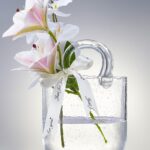 Glass Bag Vase