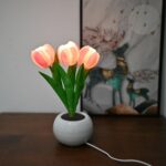 Tulip Lamp Lights