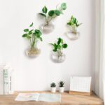 Wall Hanging Planter