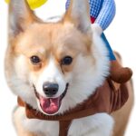 cowboy costume for dogs