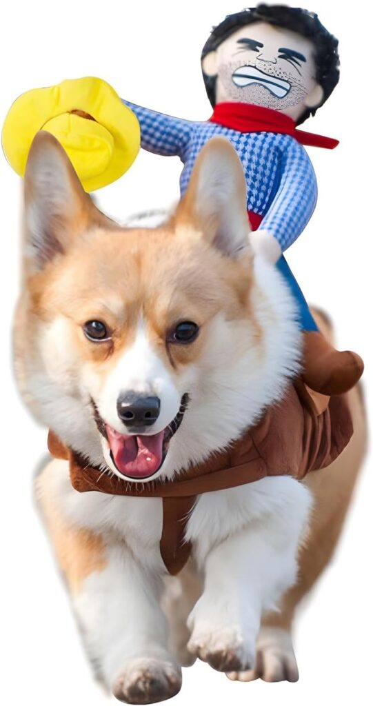 cowboy costume for dogs