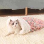 Cozy Winter Bed for Cats