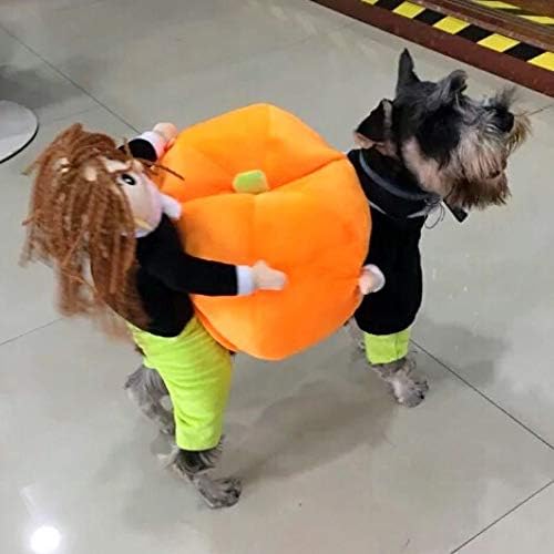 Dog Pumpkin Costume