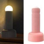 Funny Penis Lamp