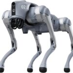 Robot Dog