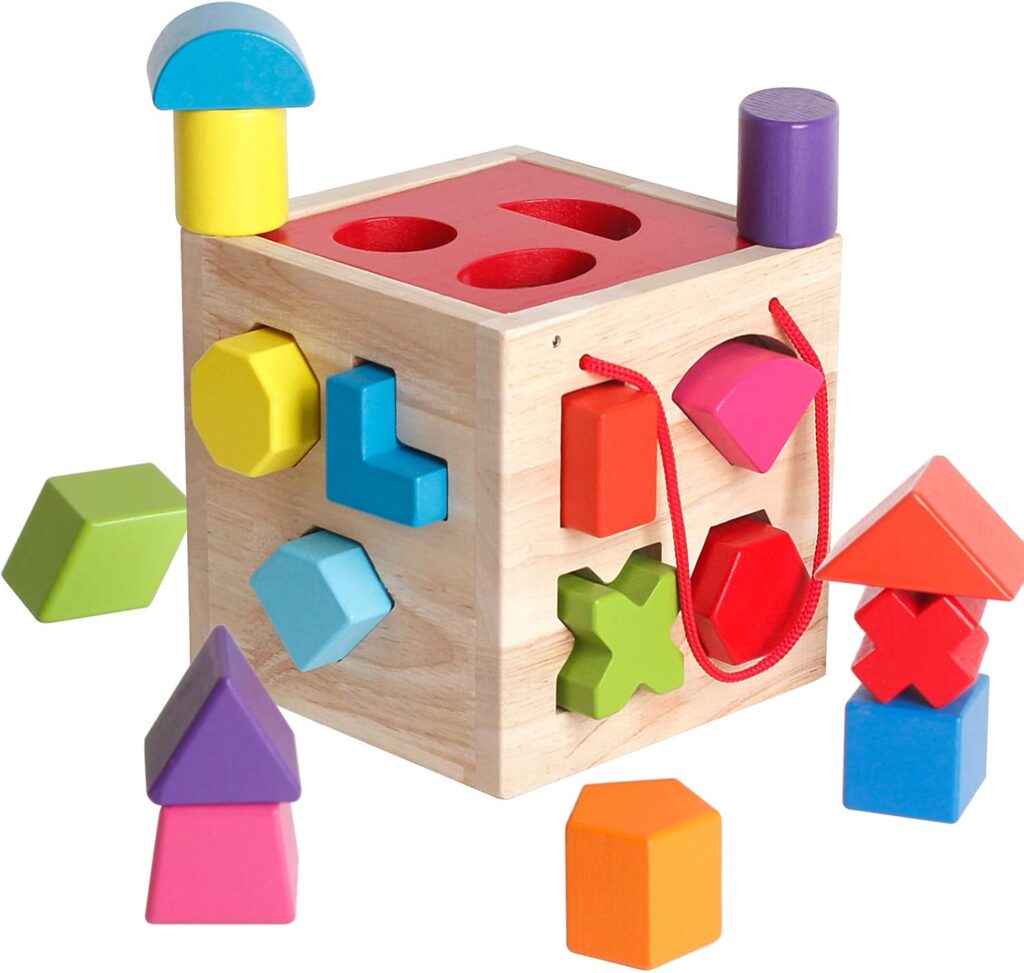 Shape Sorter Toy