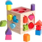 Shape Sorter Toy