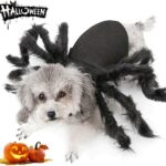 dog spider costume