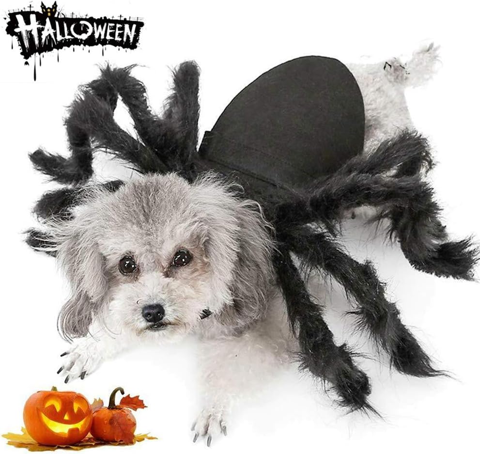 dog spider costume