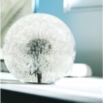 Dandelion Flower Crystal Glass Resin Ball