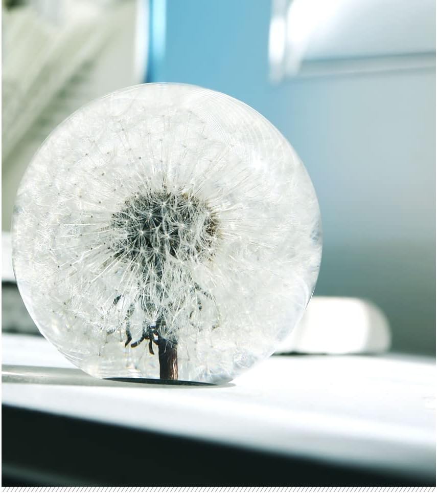 Dandelion Flower Crystal Glass Resin Ball