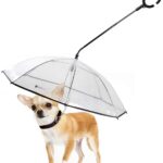 Dog Umbrella with Leash