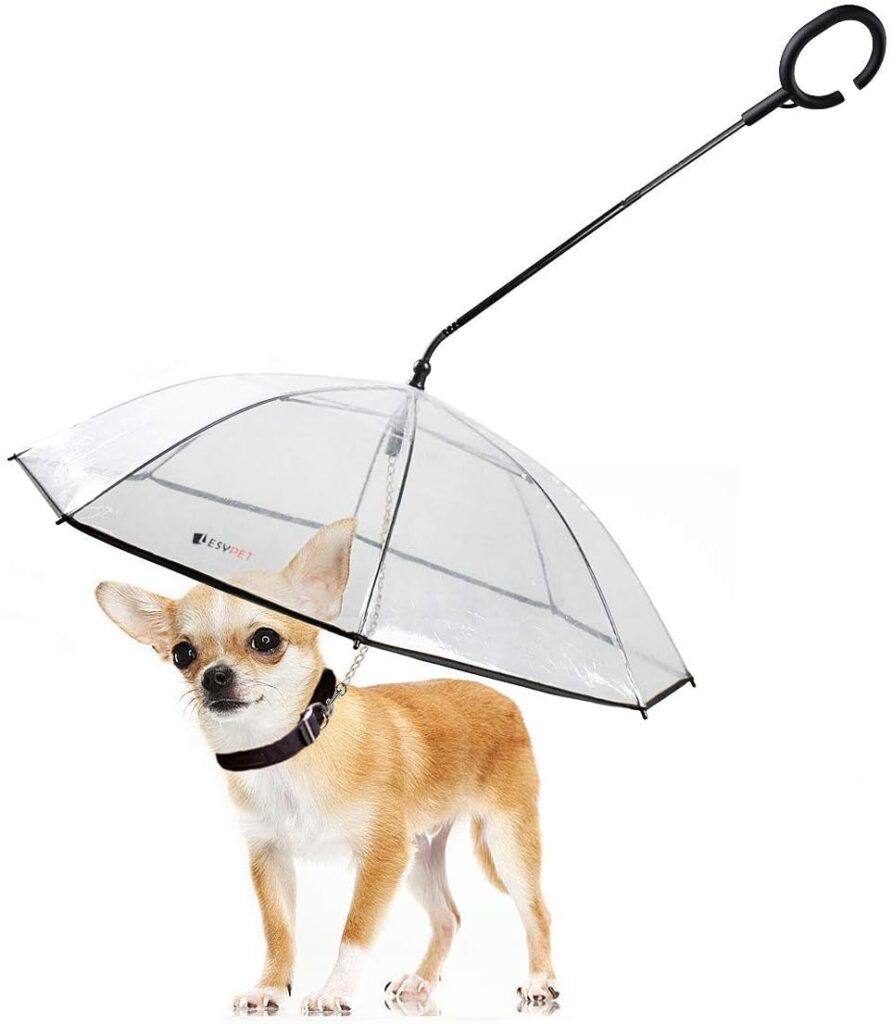 Dog Umbrella with Leash