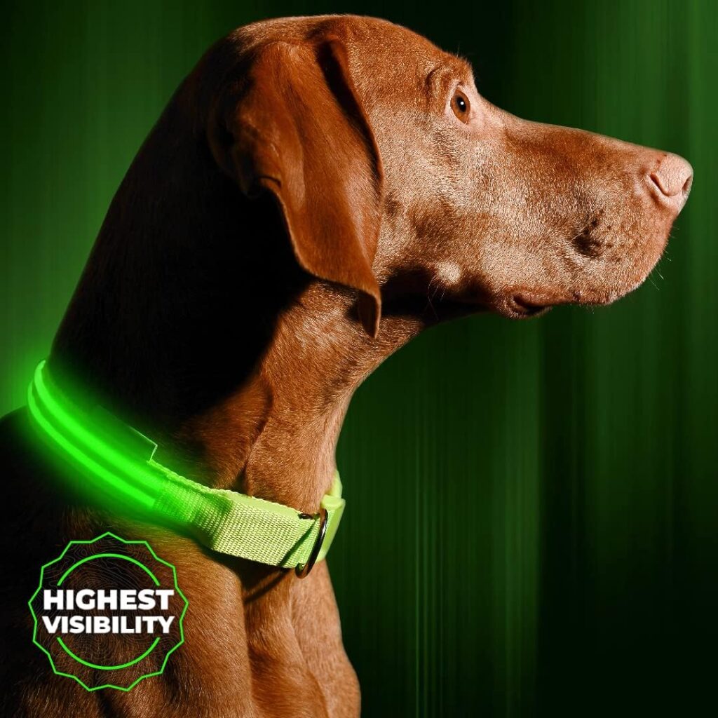 LED Dog Collar