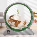 Cat Exercise Wheel