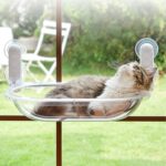 Cat Window Hammock