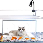 Fish Tank and Cat Bed Combo