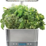 Indoor Garden Hydroponic System with LED Grow Light and Seed Kit