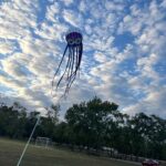 Octopus kites