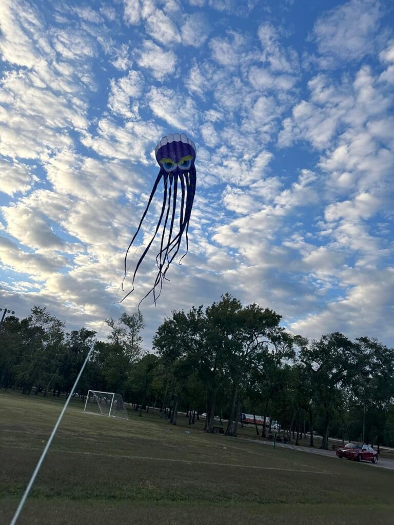 Octopus kites