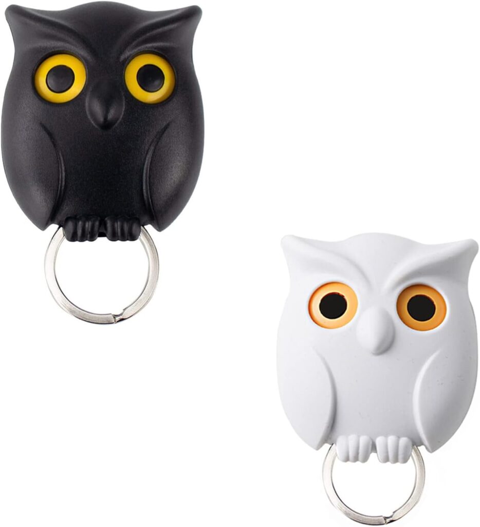 Owl Key Holder