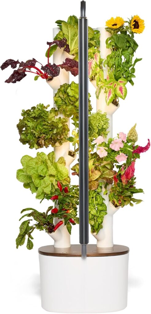 Hydroponics Growing System Kit