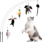 Cat Feather Toys