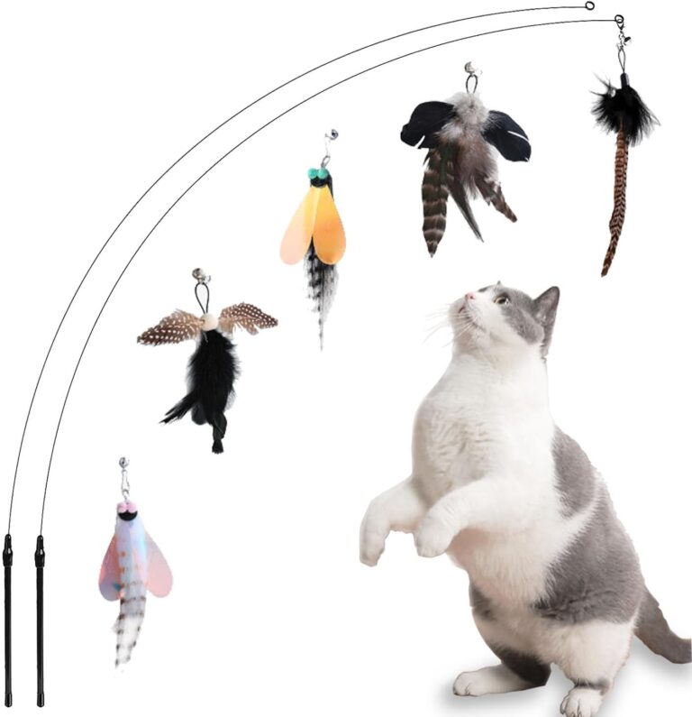 Cat Feather Toys