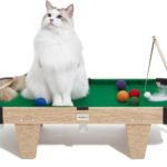 Mini Pool Table for Cats